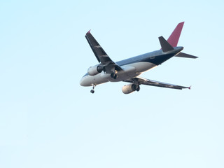 Fototapeta na wymiar jet plane in flight - landing