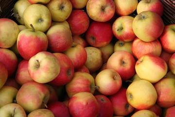 viele, viele vitamine