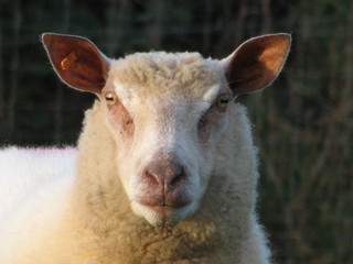 b&egrave;&egrave;&egrave;&egrave;&egrave;&egrave;&egrave;&egrave;