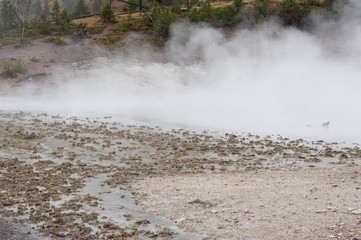 geothermische quellen im yellowstone national park