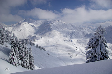 snow landscape