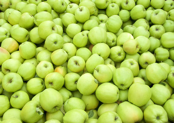 green apples in bin