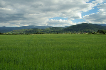 Obraz premium meadow and mountain