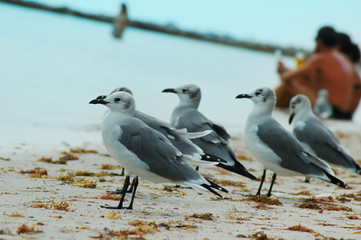 day at the beach