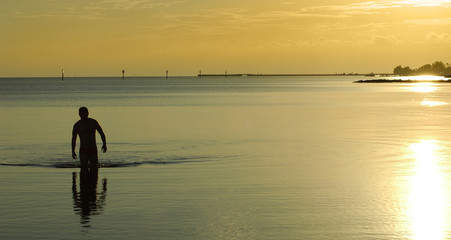 Fototapeta premium evening swim