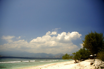 a day at the beach