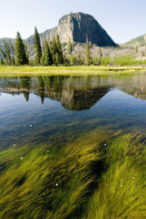 madison river in yellowstone