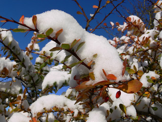 first snow
