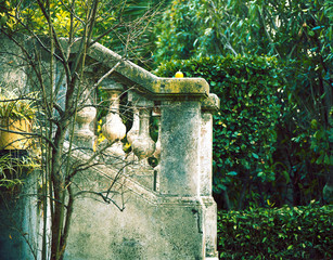 green garden in france