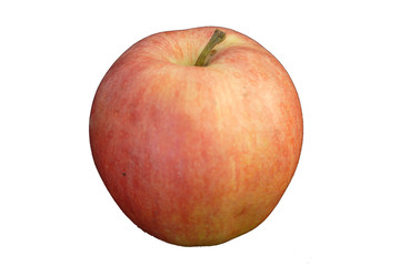 img850pommerougedétouréblanc