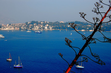 port de la cote d'azur