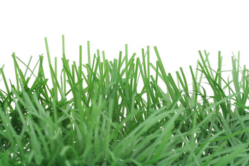 artifical pine branch