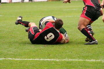 rugby