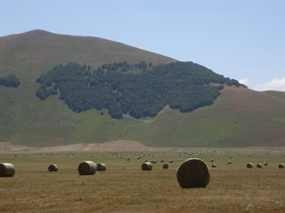 rotobales in castelluccio