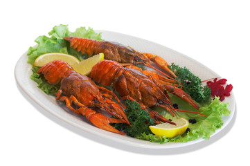 boiled cancers 1