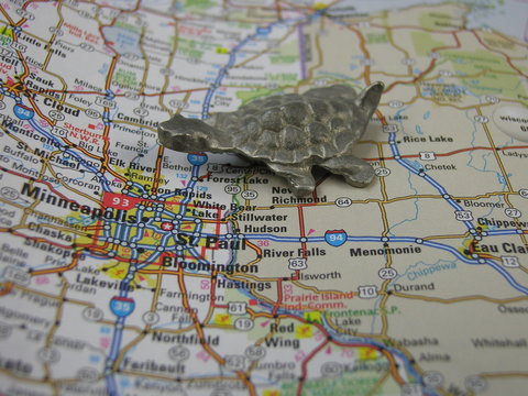 the turtle goes to minnesota