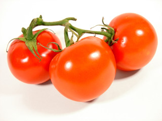 tomatoes isolated