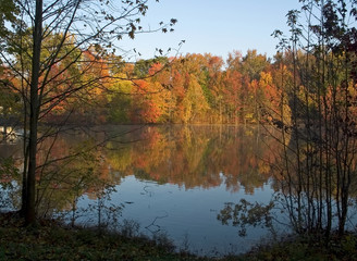autumn pond