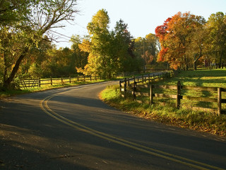 Naklejka premium country road