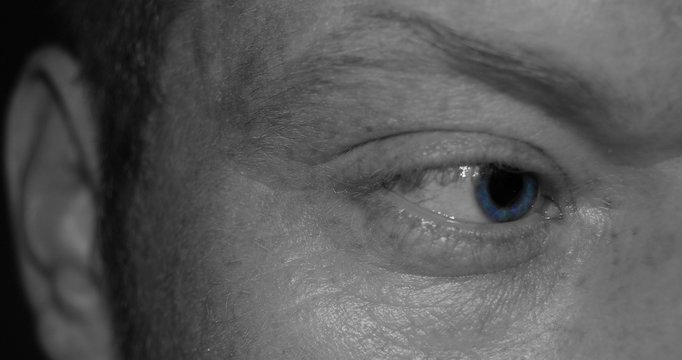 regard humain1