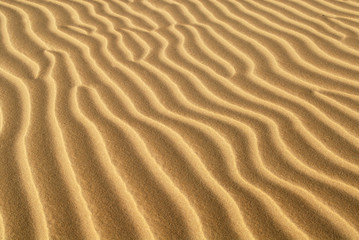 Fototapeta na wymiar grzbiety piasku utworzone w wydmie