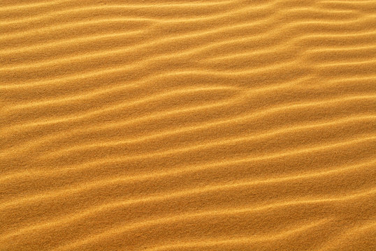 pattern of golden sand on sand dune