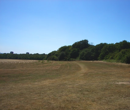 Hainault Forest Landscape 6