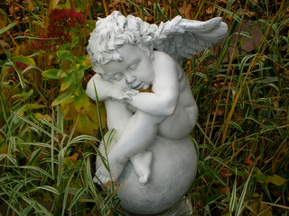 sleeping cupid