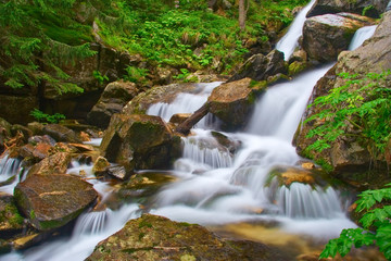 river in the forests of pirin