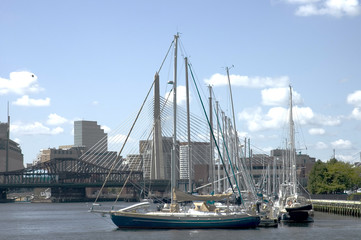 sailing boats and zakim bridge, Boston, Mass