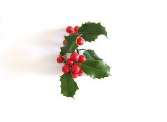 d&eacute;cor d'hiver