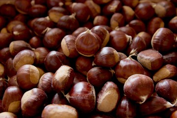 chestnuts