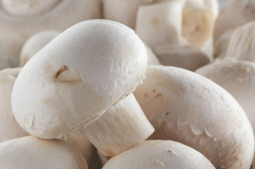 mushroom background