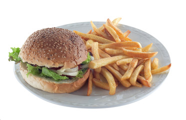 french fries and hamburger