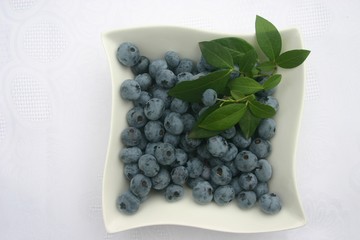 blueberries on a plate with leaf of mint