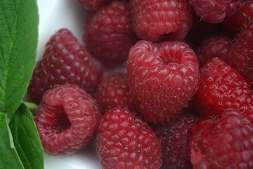 juicy raspberries and green leaf of mint