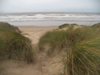 sand dunes