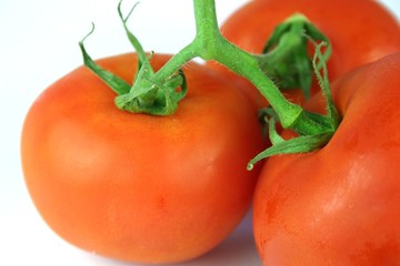 organic tomatoes