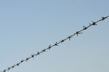 barbed wire