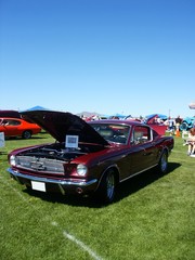 dark red american muscle car