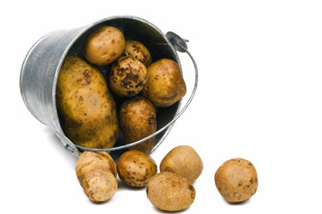 potato