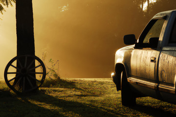 rural foggy morning