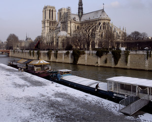 notre dame catherdral paris