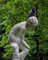 statue with pigeon paris