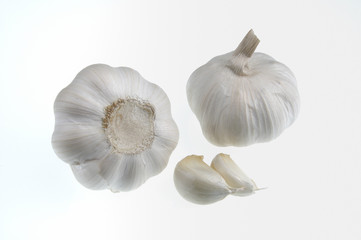 garlic