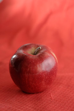 red ripe apple