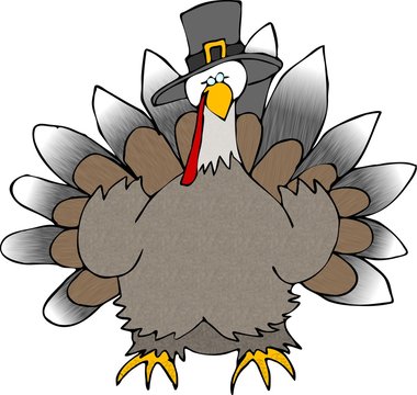 Turkey Wearing A Pilgrim Hat