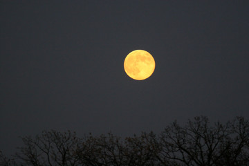 october moon rising