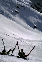 2 skiers in the alps
