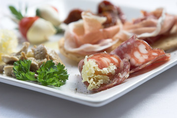 anti pasti plate
